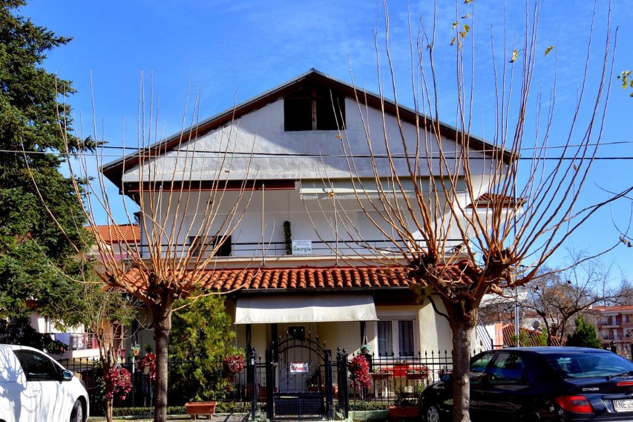 Zeusplace Georgia House Leptokarya (Pieria) Exterior foto